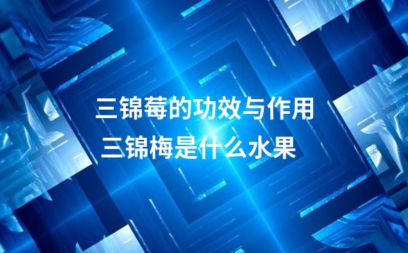 三锦莓的功效与作用 三锦梅是什么水果